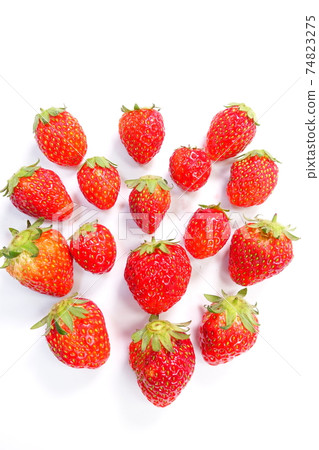 草莓，草莓，草莓，草莓 74823275