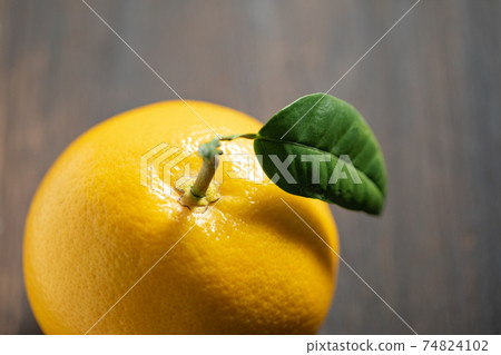 Grapefruit with fresh leaves Grapefruit with fresh leaves 74824102
