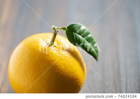 Grapefruit with fresh leaves Grapefruit with fresh leaves 74824104