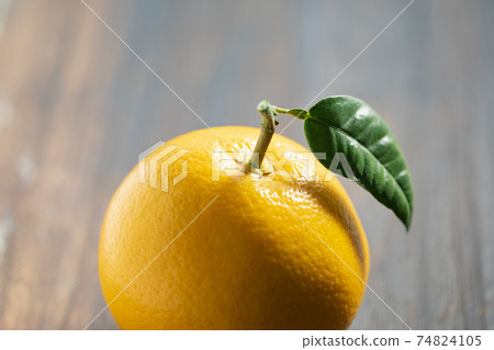 Grapefruit with fresh leaves Grapefruit with fresh leaves 74824105