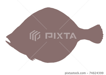 Flounder silhouette Flounder silhouette 74824399