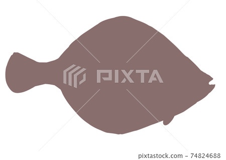 Flatfish silhouette 74824688