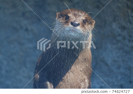 川西農會公園 74824727