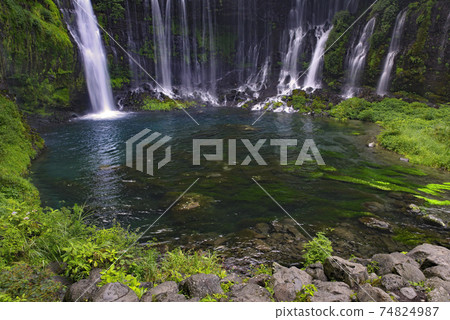 Summer Shiraito Falls 74824987