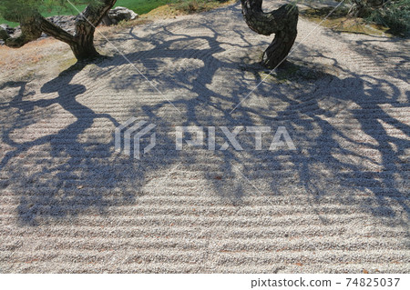 "Ritsurin Garden" The shadow of the pine tree at the edge of Kikugetsutei 74825037