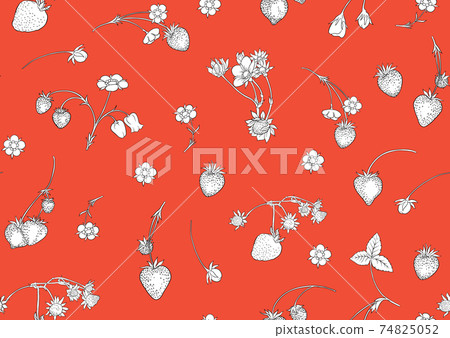 Strawberry. Ripe berries. Seamless pattern Strawberry. Ripe berries. Seamless pattern 74825052
