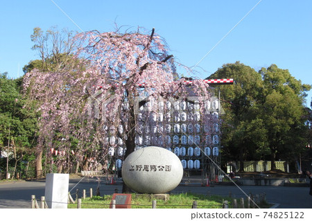 Ueno Park entrance Ueno Park entrance 74825122