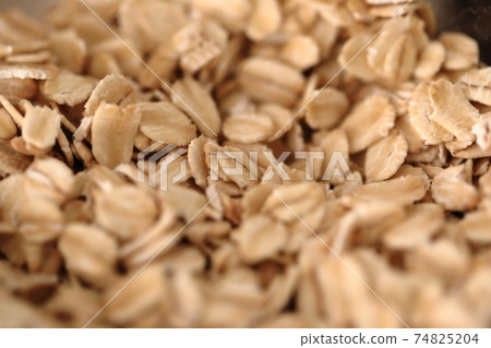oatmeal 74825204