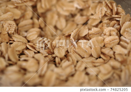 oatmeal oatmeal 74825205