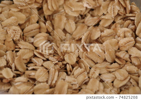 oatmeal 74825208