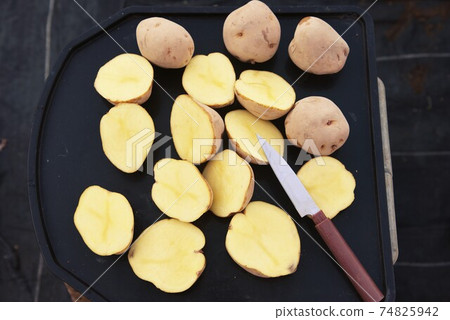 Before cultivating and planting potatoes, apply wood ash to the cut end to prevent corrosion. Before cultivating and planting potatoes, apply wood ash to the cut end to prevent corrosion. 74825942