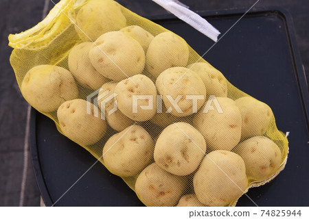 Before cultivating and planting potatoes, apply wood ash to the cut end to prevent corrosion. Before cultivating and planting potatoes, apply wood ash to the cut end to prevent corrosion. 74825944