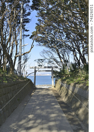 Torii with a view of the sea at Sakatsura Isozaki Shrine Torii with a view of the sea at Sakatsura Isozaki Shrine 74826051