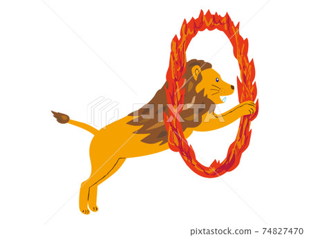 Circus lion passing through a burning ring 74827470