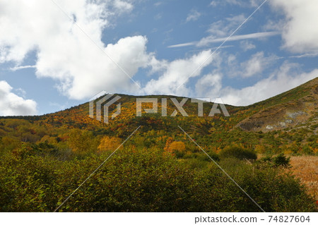 秋葉和山 74827604