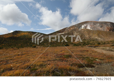 Autumn leaves and mountains 74827605