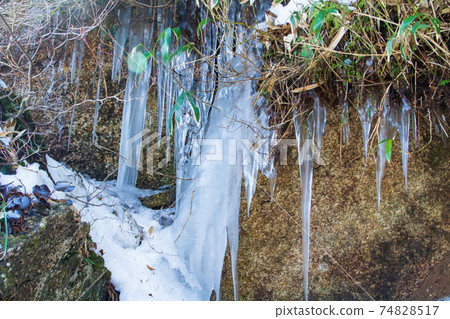 Mt. Gozaisho mountain climbing icicles on the middle mountain trail 74828517
