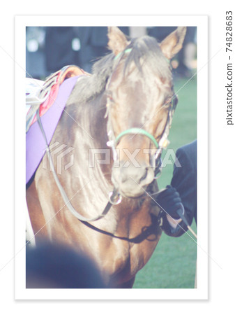 電影照片賽馬 74828683