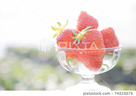 Serve freshly picked Asuka Ruby in a parfait style Serve freshly picked Asuka Ruby in a parfait style 74828878