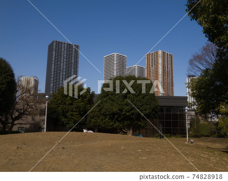 公園和高層公寓，在晴朗的一天 74828918