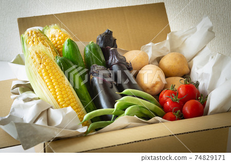 Various summer vegetables Home delivery vegetables delivered from contract farmers Harvested summer vegetables Various summer vegetables Home delivery vegetables delivered from contract farmers Harvested summer vegetables 74829171