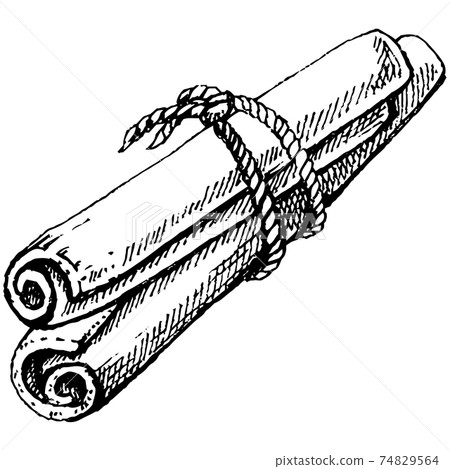 Vector line drawing handmade cinnamon and star anise isolated on white background. Sketches of spices for mulled wine. 74829564