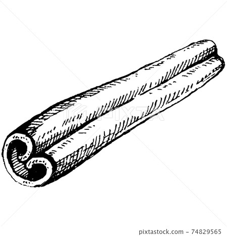 Vector line drawing handmade cinnamon and star anise isolated on white background. Sketches of spices for mulled wine. 74829565