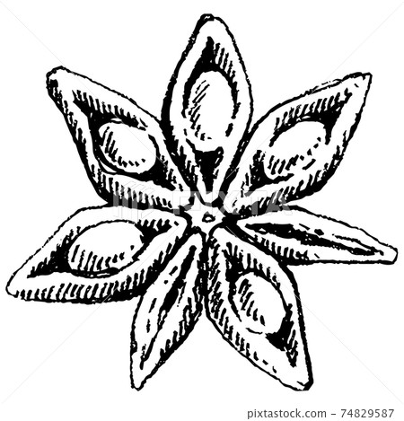 Coffee. Icon set. Isolated coffee beans on white background. Coffee. Icon set. Isolated coffee beans on white background. 74829587