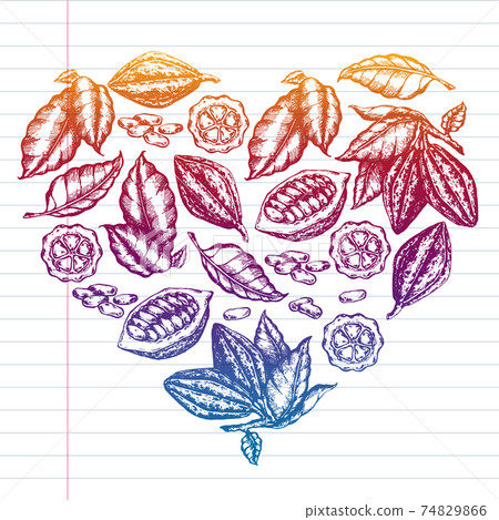 Colorful cocoa beans illustration on white background. Engraved style illustration. Chocolate cocoa beans. Vector pattern illustration 74829866