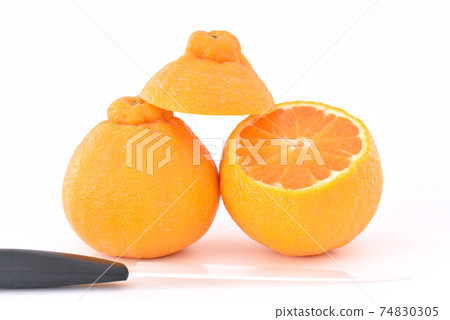 dekopon, citrus fruits, ponkan orange 74830305