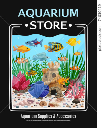 coral reef fish store
