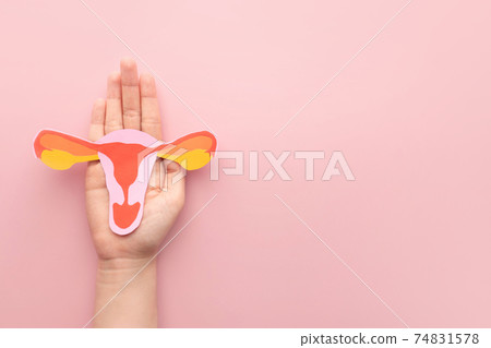 Female reproductive health concept. Woman hand holding uterus shape made frome paper on pink background. Awareness of uterus illness such as endometriosis, PCOS, STDs or gynecologic cancer. 74831578