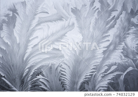 The Art of the Extreme Cold: Frost Patterns on Window Glass 74832129