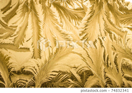 The Art of the Extreme Cold: Frost Patterns on Window Glass The Art of the Extreme Cold: Frost Patterns on Window Glass 74832341
