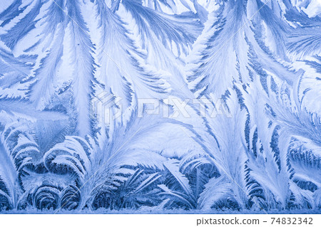 The Art of the Extreme Cold: Frost Patterns on Window Glass The Art of the Extreme Cold: Frost Patterns on Window Glass 74832342