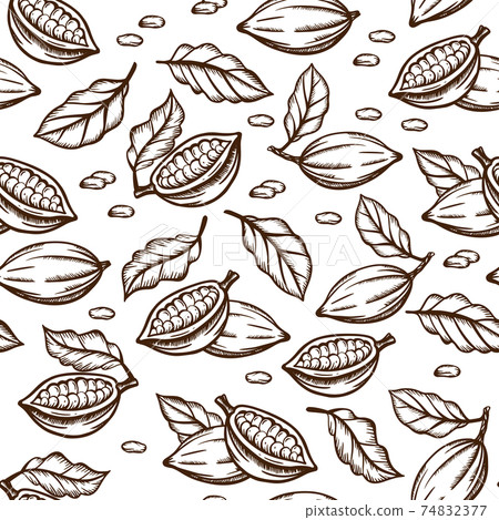 COCOA SKETCH Seeds And Leaves Design In Brown Color On White Background In Vintage Style Monochrome Hand Drawn Seamless Pattern Vector Illustration For Print 74832377