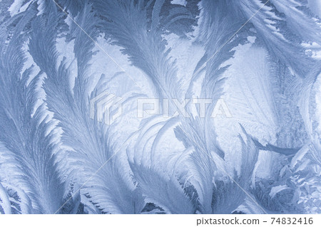 The Art of the Extreme Cold: Frost Patterns on Window Glass 74832416