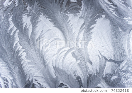 The Art of the Extreme Cold: Frost Patterns on Window Glass 74832418