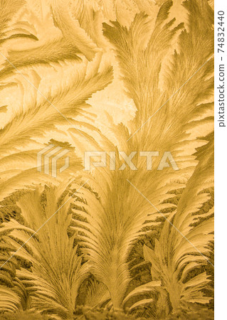 The Art of the Extreme Cold: Frost Patterns on Window Glass The Art of the Extreme Cold: Frost Patterns on Window Glass 74832440
