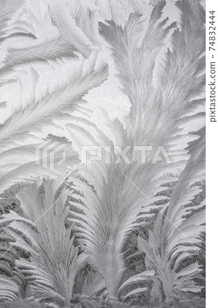 The Art of the Extreme Cold: Frost Patterns on Window Glass The Art of the Extreme Cold: Frost Patterns on Window Glass 74832444