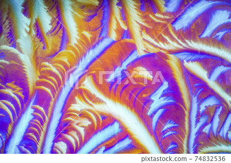 The art of extreme cold: frost patterns on glass windows 74832536