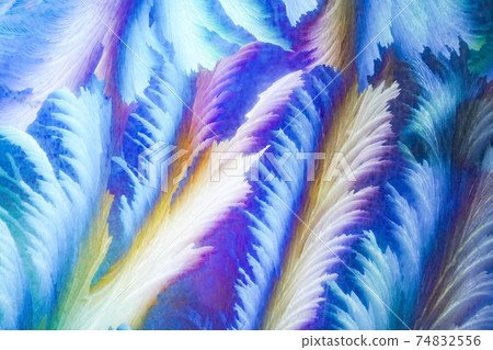 The art of extreme cold: frost patterns on glass windows 74832556