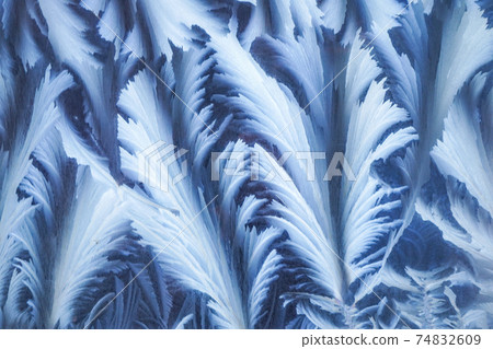 The Art of the Extreme Cold: Frost Patterns on Window Glass The Art of the Extreme Cold: Frost Patterns on Window Glass 74832609