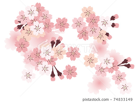 Sakura Pattern Background Material A4 Size Stock Illustration 74833149 Pixta