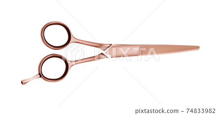 Hairdressing scissors hair cut tool isolated 74833982