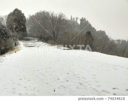 降雪長平平冬季風光東京青梅市 74834628