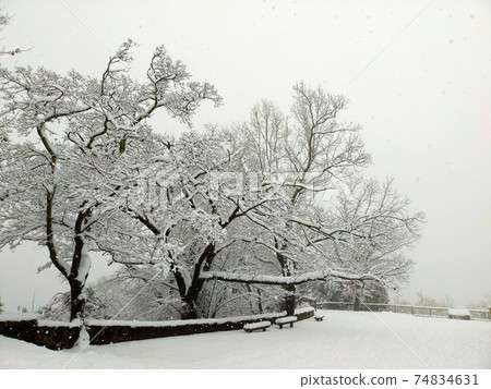 降雪高尾山頂峰風景 74834631