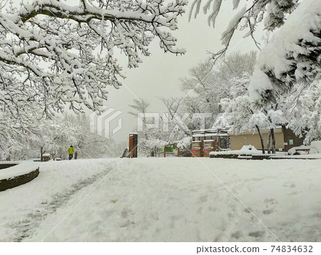 降雪高尾山首腦會議標誌 降雪高尾山首腦會議標誌 74834632