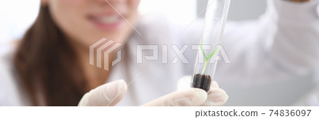 Female hands in white gloves hold test tube with earth and scion inside. Female hands in white gloves hold test tube with earth and scion inside. 74836097