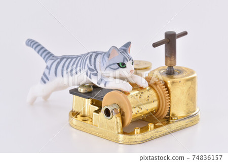 Foot Mercer 74836157